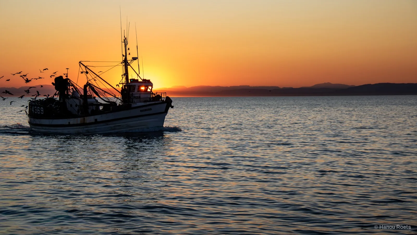 A white fishing trawler numbered 4369 heads across rippled water into an orange sunset, trailed by a flock of gulls, with distant mountains on the horizon