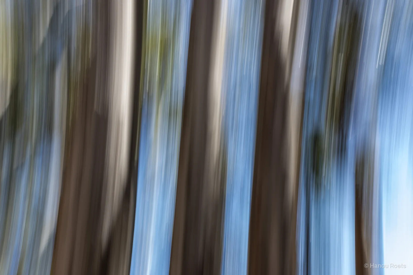 Brown tree trunks drawn into long vertical streaks against blue sky by a moving camera