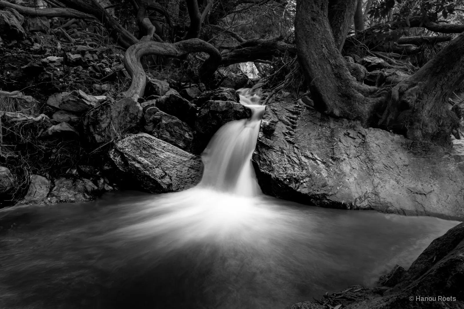 A small waterfall pouring between rocks under twisted trees, in black and white