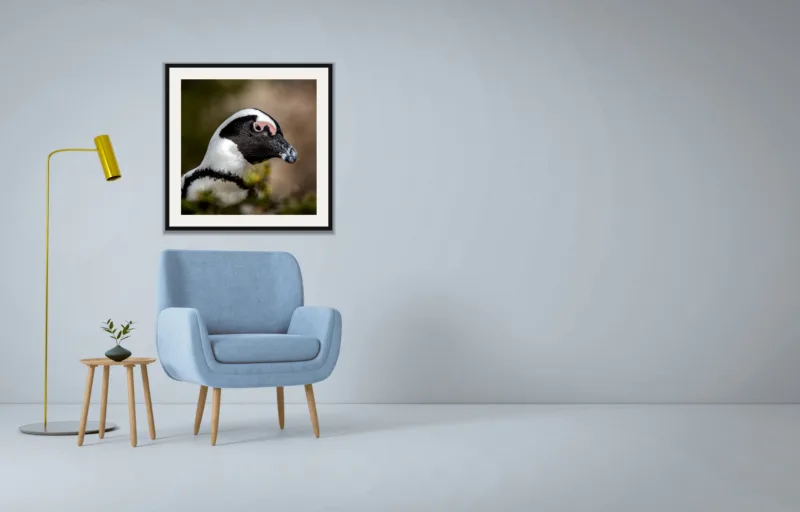 Pink brow shown framed as an A2 print, above a pale blue armchair on a grey wall