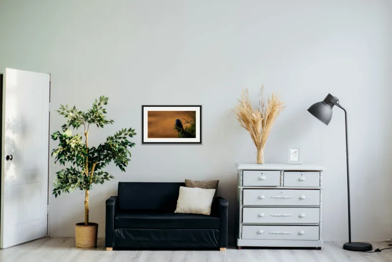 Amber perch shown framed as an A2 print, above a black two-seater between a potted tree and a chest of drawers