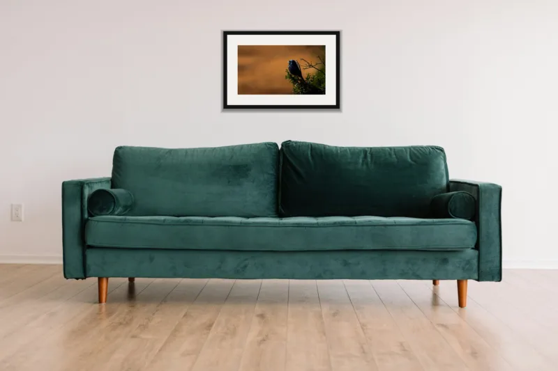 Amber perch shown framed as an A3 print, above a green velvet sofa against a white wall