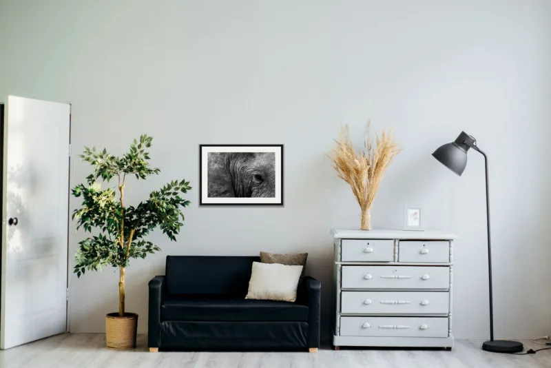 Old soul shown framed as an A2 print, above a black two-seater between a potted tree and a chest of drawers