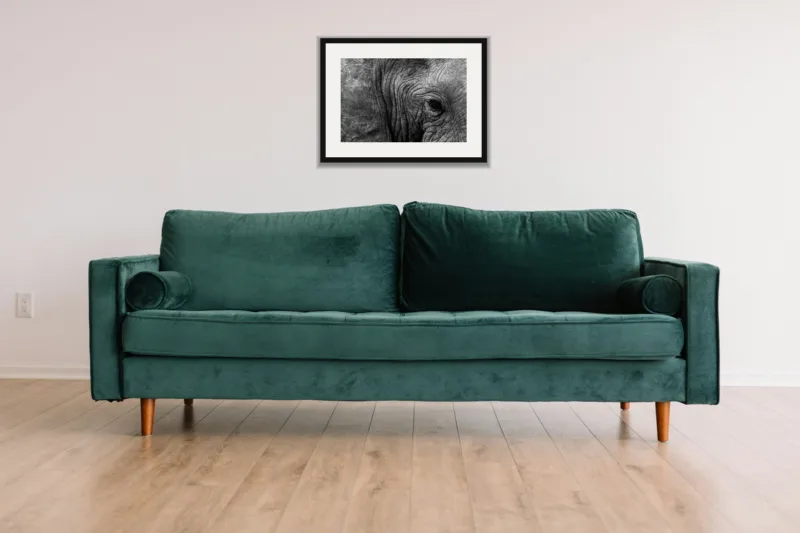 Old soul shown framed as an A3 print, above a green velvet sofa against a white wall