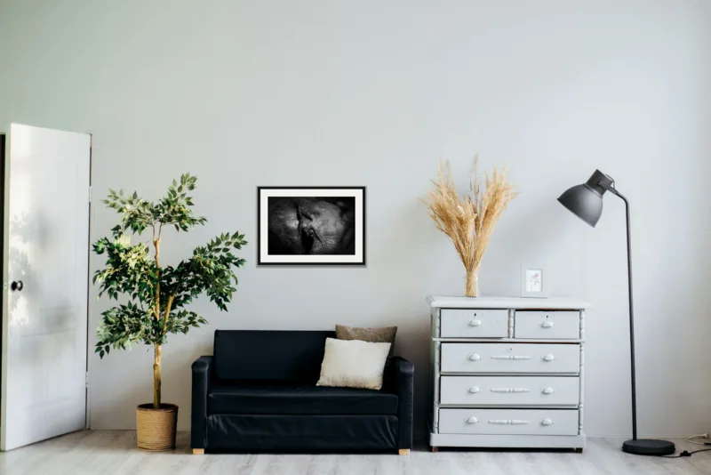 Elder shown framed as an A2 print, above a black two-seater between a potted tree and a chest of drawers