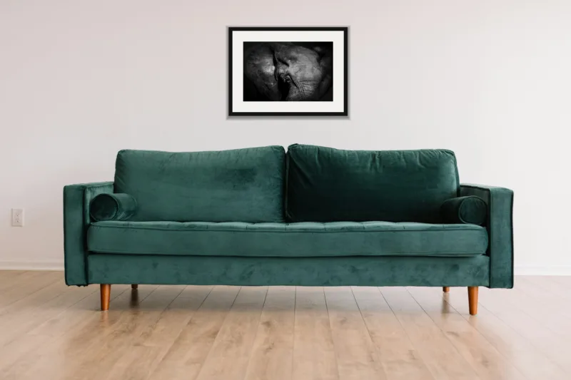 Elder shown framed as an A3 print, above a green velvet sofa against a white wall