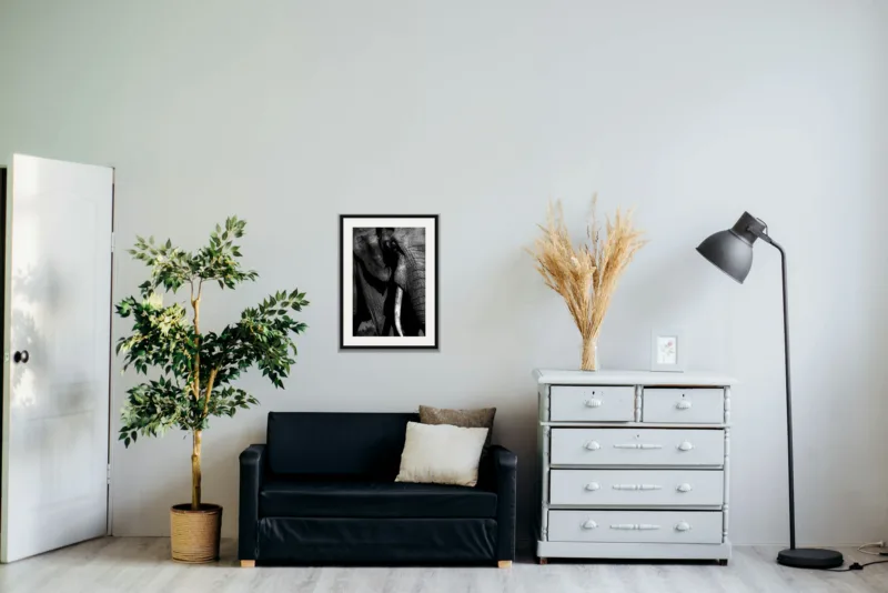 Shadow and ivory shown framed as an A2 print, above a black two-seater between a potted tree and a chest of drawers