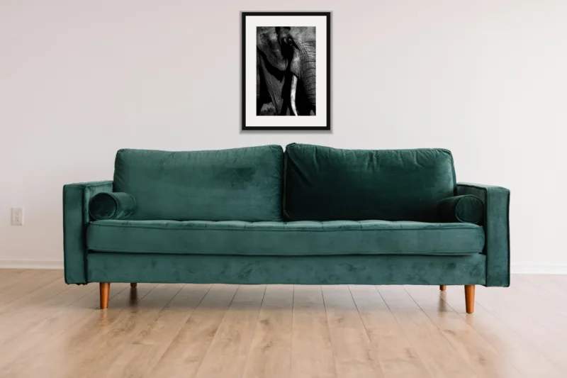 Shadow and ivory shown framed as an A3 print, above a green velvet sofa against a white wall