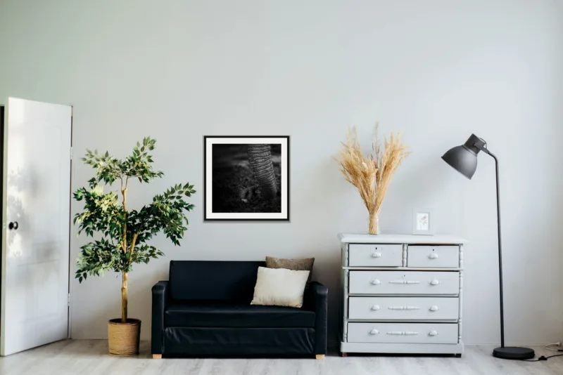 Trunk shown framed as an A2 print, above a black two-seater between a potted tree and a chest of drawers