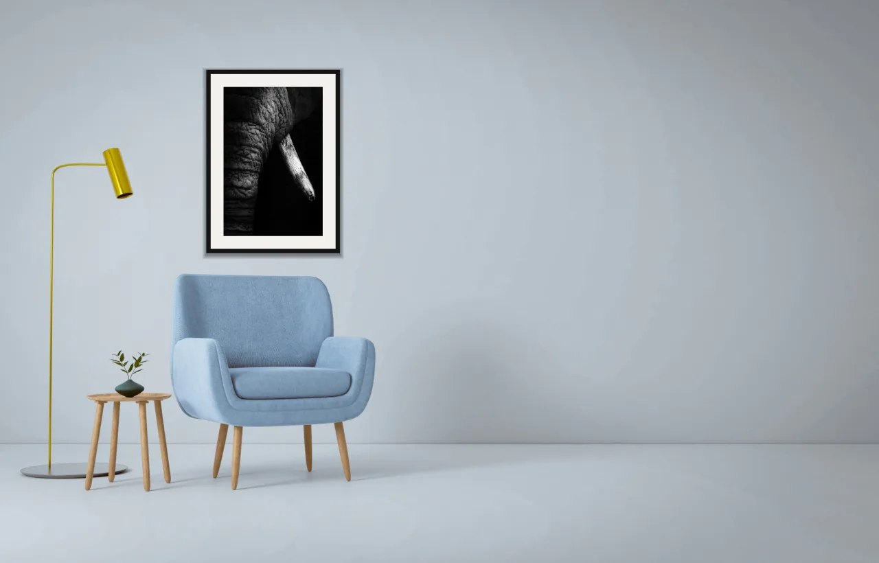 Tusk as a framed A2 print, above a pale blue armchair on a grey wall