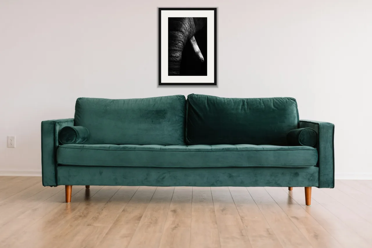 Tusk as a framed A3 print, above a green velvet sofa against a white wall