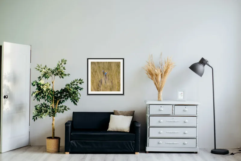 Tall grass shown framed as an A2 print, above a black two-seater between a potted tree and a chest of drawers