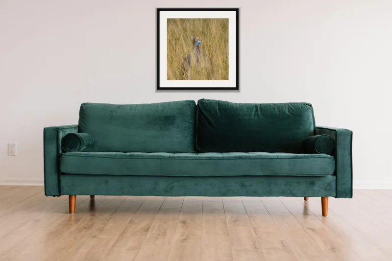 Tall grass shown framed as an A3 print, above a green velvet sofa against a white wall