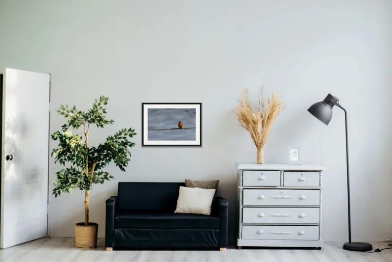 Tightrope shown framed as an A2 print, above a black two-seater between a potted tree and a chest of drawers