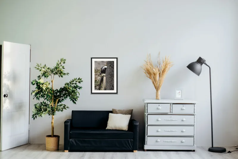 Peekaboo shown framed as an A2 print, above a black two-seater between a potted tree and a chest of drawers