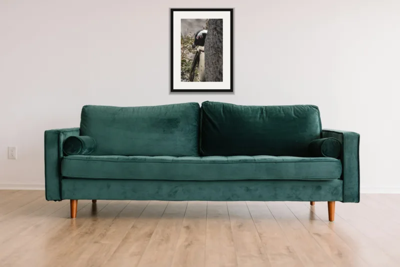 Peekaboo shown framed as an A3 print, above a green velvet sofa against a white wall