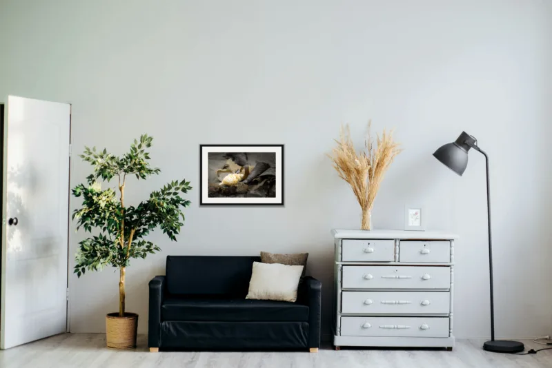 Washed up shown framed as an A2 print, above a black two-seater between a potted tree and a chest of drawers