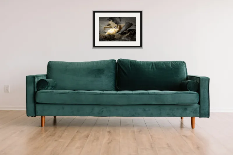 Washed up shown framed as an A3 print, above a green velvet sofa against a white wall