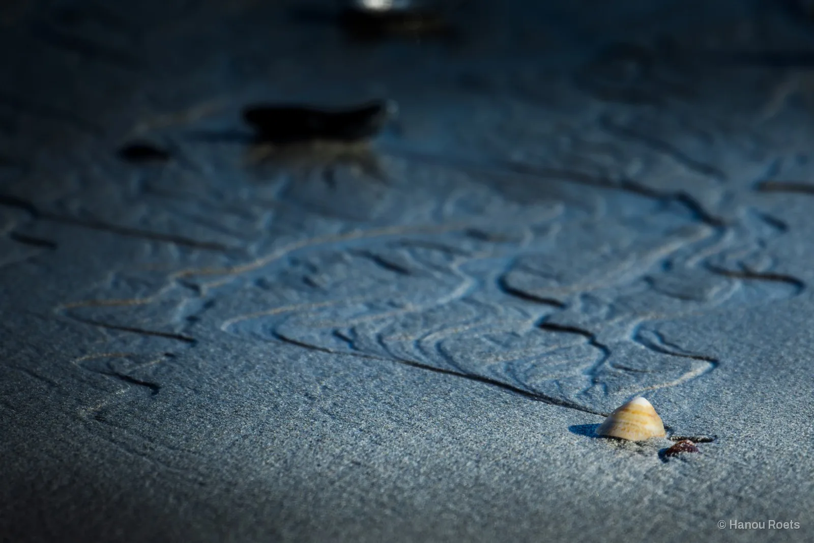 A small striped cone-shaped shell sits in low light on cool blue-grey sand etched with winding water-drawn lines